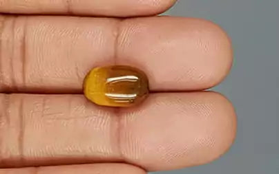 Tiger Eye - 5.36 Carats