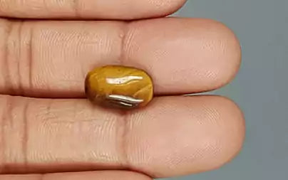 Tiger Eye - 4.89 Carats