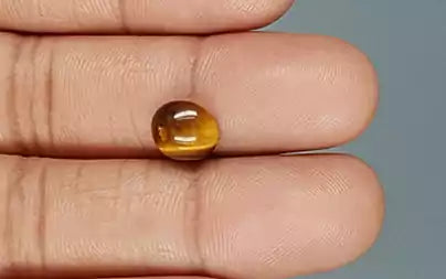 Tiger Eye - 2.73 Carats