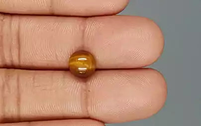 Tiger Eye - 2.30 Carats