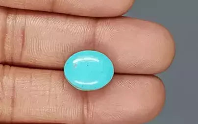 Turquoise - 8.86 Carats