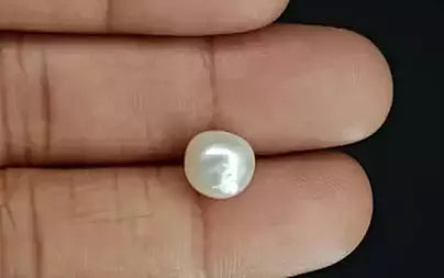 Venezuela Pearl - 5.00 Carats (Moti - 5.45 Ratti)