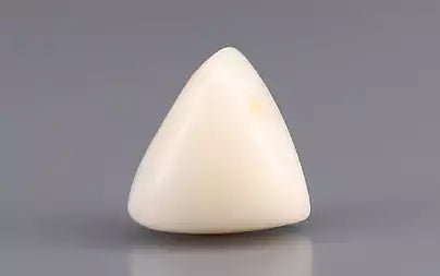 White Coral - 6.07 Carats