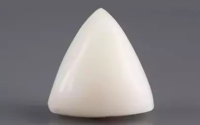 White Coral - 10.97 Carats