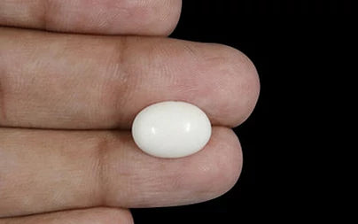 White Coral - 4.06 Carats