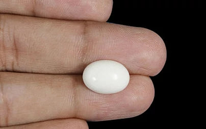White Coral - 4.22 Carats