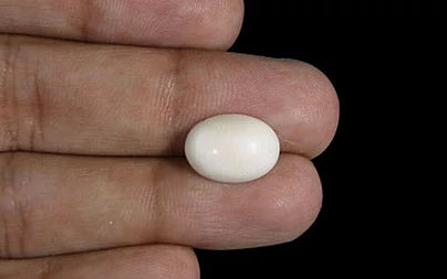 White Coral - 4.32 Carats