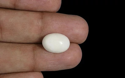White Coral - 4.3 Carats