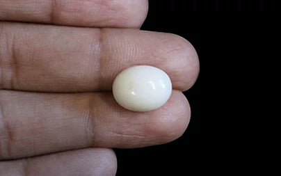 White Coral - 9.48 Carats