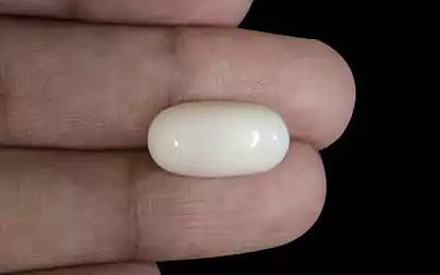 White Coral - 9.65 Carats
