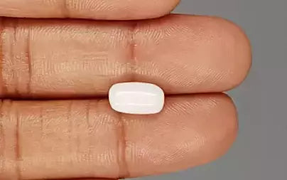 White Coral - 3.27 Carats