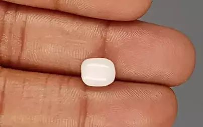 White Coral - 3.13 Carats