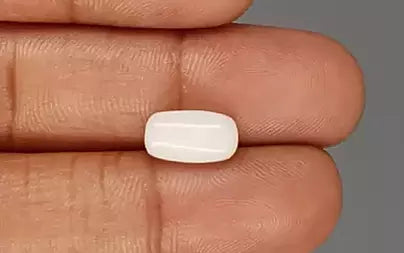 White Coral - 3.59 Carats