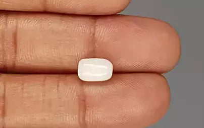 White Coral - 2.75 Carats