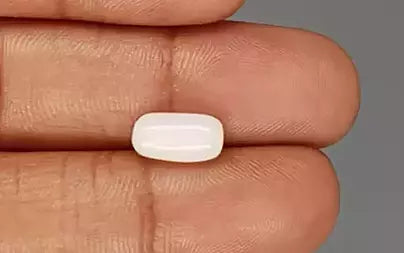 White Coral - 3.01 Carats