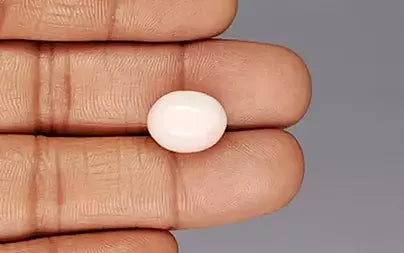 White Coral - 11.53 Carats