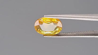 Yellow Sapphire - 4.41 Carats (Pukhraj - 4.81 Ratti)