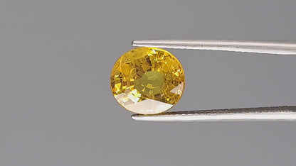 Yellow Sapphire - 4.07 Carats (Pukhraj - 4.44 Ratti)