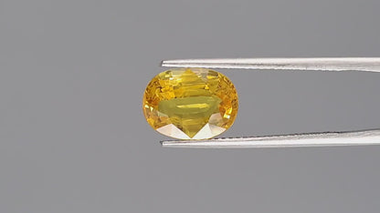 Yellow Sapphire - 4.15 Carats (Pukhraj - 4.52 Ratti)