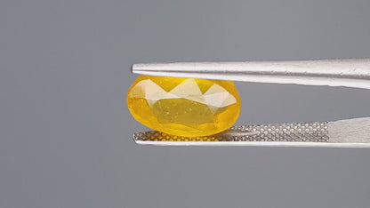 Yellow Sapphire - 6.50 Carats (Pukhraj - 7.09 Ratti)