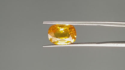 Yellow Sapphire (Pukhraj) - 4.67 Carats