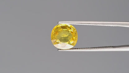 Yellow Sapphire - 4.32 Carats (Pukhraj - 4.71 Ratti)