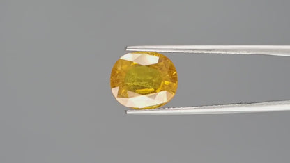 Yellow Sapphire - 7.33 Carats (Pukhraj - 7.99 Ratti)