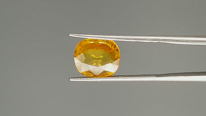 Yellow Sapphire - 4.55 Carats (Pukhraj - 4.96 Ratti)
