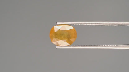 Yellow Sapphire - 3.69 Carats (Pukhraj - 4.02 Ratti)