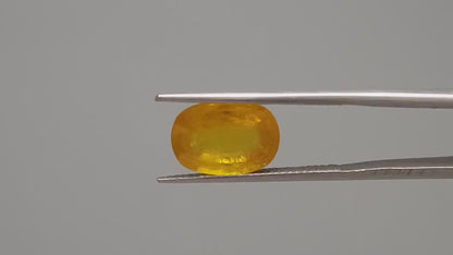 Yellow Sapphire - 5.02 Carats (Pukhraj - 5.47 Ratti)