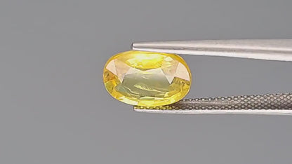Yellow Sapphire (Pukhraj) - 4.08 Carats