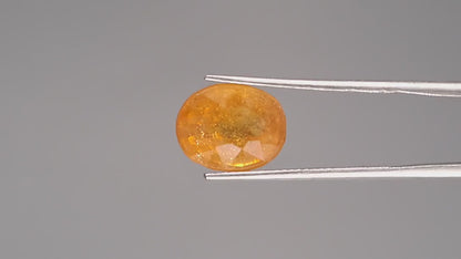 Yellow Sapphire - 8.32 Carats (Pukhraj - 9.07 Ratti)