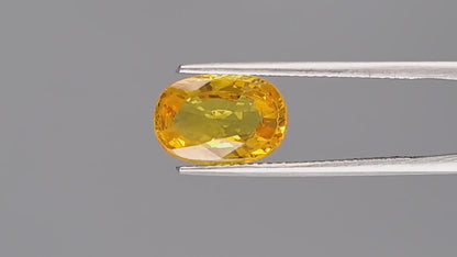 Yellow Sapphire - 4.10 Carats (Pukhraj - 4.47 Ratti)