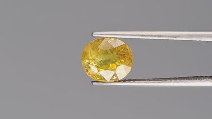Yellow Sapphire - 3.69 Carats (Pukhraj - 4.02 Ratti)