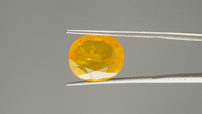 Yellow Sapphire - 8.22 Carats (Pukhraj - 8.96 Ratti)