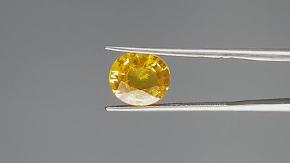 Yellow Sapphire - 4.21 Carats (Pukhraj - 4.59 Ratti)