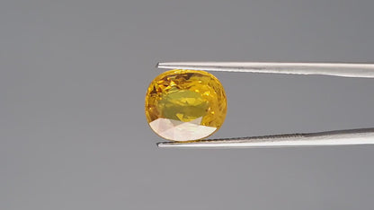 Yellow Sapphire - 6.47 Carats (Pukhraj - 7.05 Ratti)
