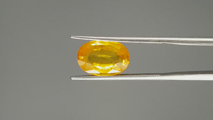 Yellow Sapphire - 4.35 Carats (Pukhraj - 4.74 Ratti)