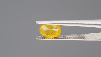 Yellow Sapphire - 4.07 Carats (Pukhraj - 4.44 Ratti)