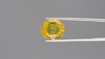 Yellow Sapphire (Pukhraj) - 5.78 Carats