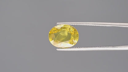 Yellow Sapphire (Pukhraj) - 3.81 Carats