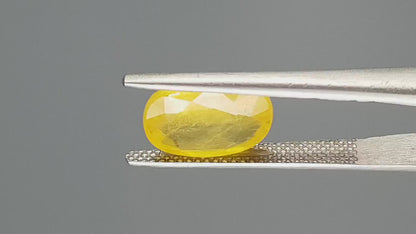 Yellow Sapphire (Pukhraj) - 4.16 Carats