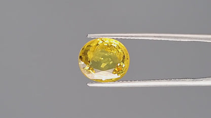 Yellow Sapphire - 4.01 Carats (Pukhraj - 4.37 Ratti)