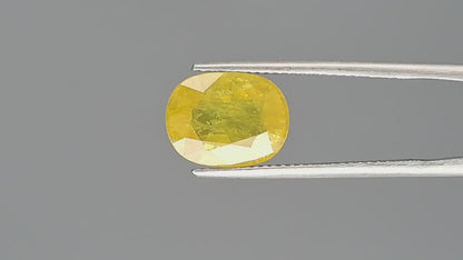 Yellow Sapphire (Pukhraj) - 5.63 Carats