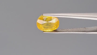 Yellow Sapphire (Pukhraj) - 6.63 Carats