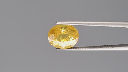 Yellow Sapphire - 5.24 Carats (Pukhraj - 5.71 Ratti)