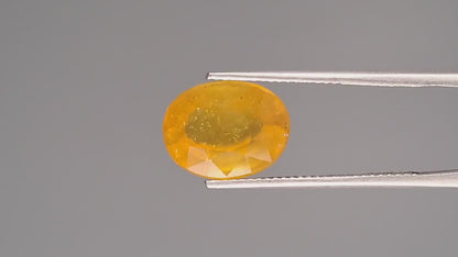 Yellow Sapphire - 7.97 Carats (Pukhraj - 8.69 Ratti)