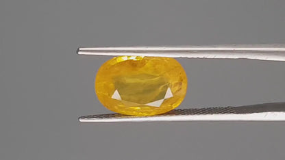 Yellow Sapphire (Pukhraj) - 5.48 Carats