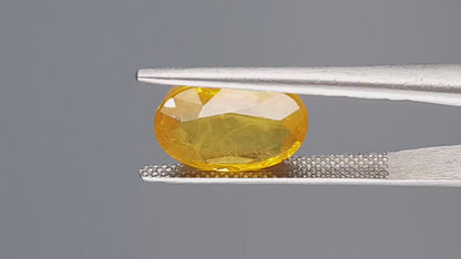 Yellow Sapphire - 6.64 Carats (Pukhraj - 7.24 Ratti)