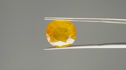 Yellow Sapphire - 8.21 Carats (Pukhraj - 8.95 Ratti)